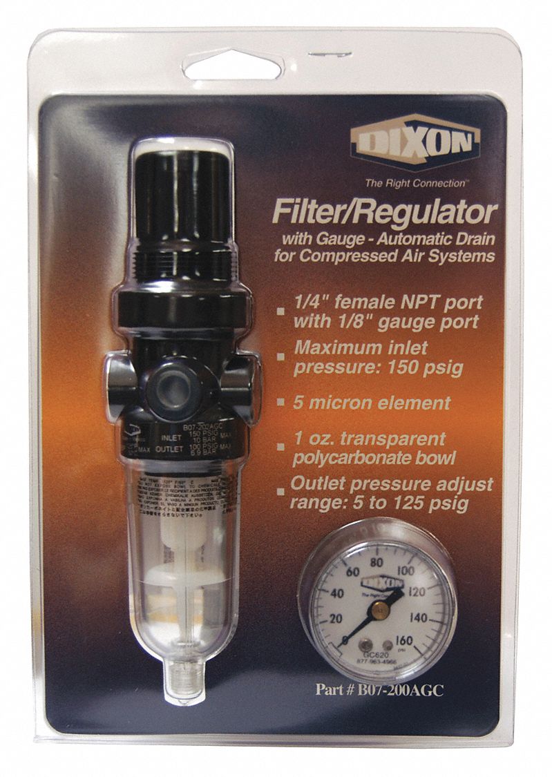 Series1-Carded Mini Filter/Reg Auto, 1/4"