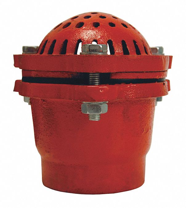 Foot Valve: Cast Iron, 3 in Pipe Size, Pumps, NPT