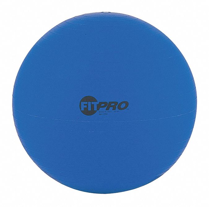 CHAMPION SPORTS, 20.87 in Overall Dia, Blue, Exercise Ball - 58MP12 ...