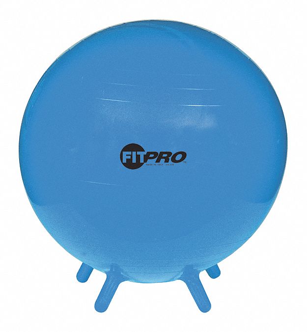 CHAMPION SPORTS, 20.87 in Overall Dia, Blue, Exercise Ball - 58MP29 ...