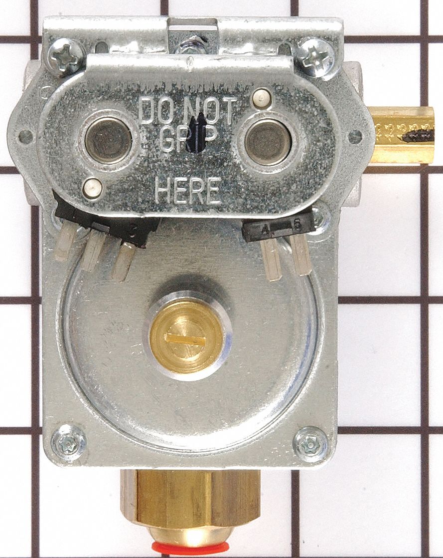 Gas Valve with Coils: 306176