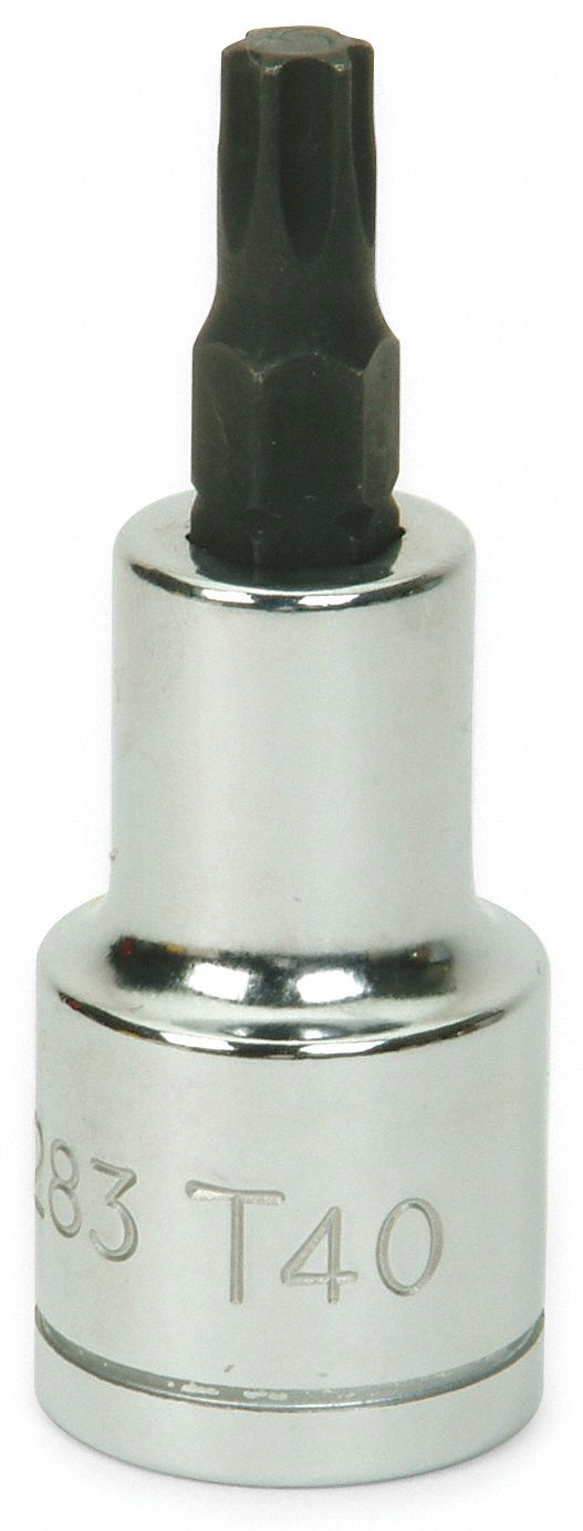 Torx Socket, 1/2"