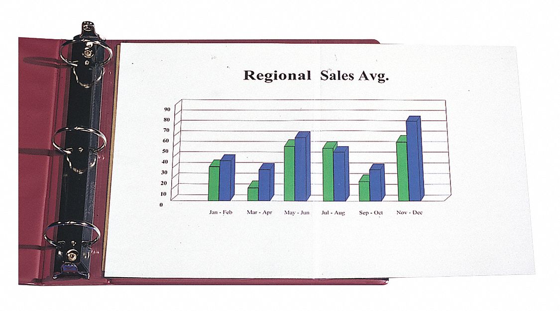 Panoramic Page Protector,