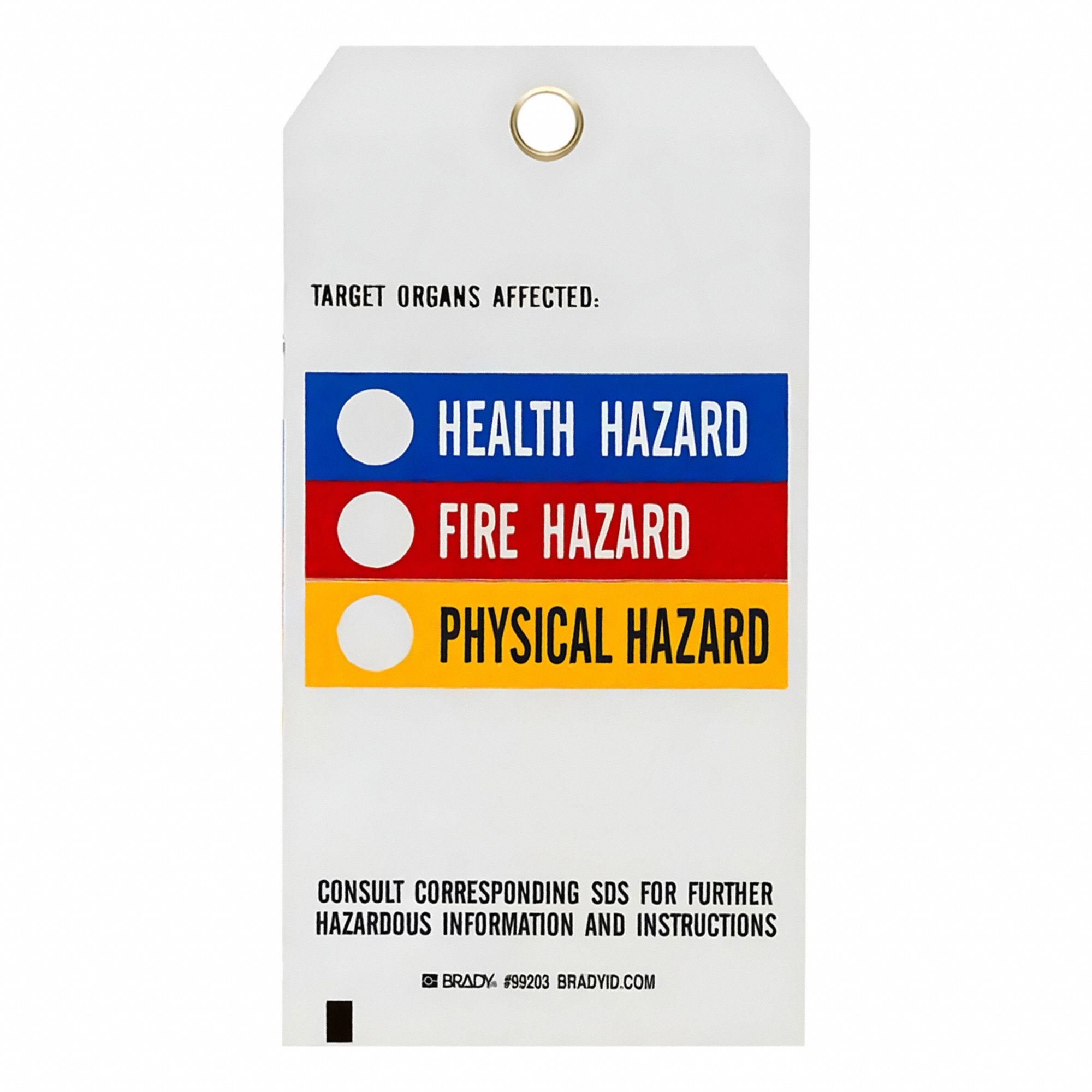 Tag: Polyester, Rectangle, 5 3/4 in Ht, 3 in Wd, 0.01 in Thick, (25) Nylon Ties, White, 25 PK