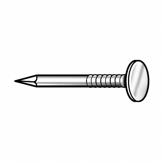 GRAINGER APPROVED Roofing Nail, Steel, Electro Galvanized, 11 Gauge, 1