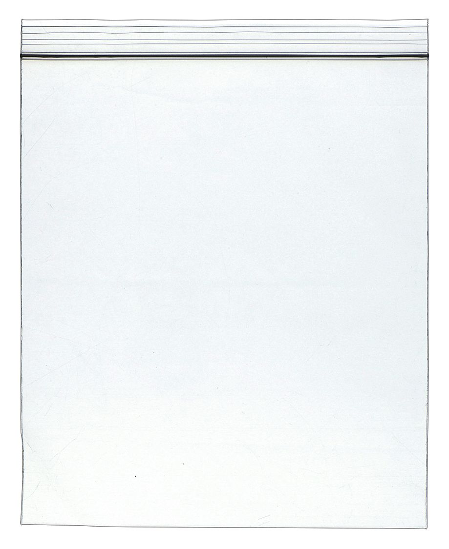 Reclosable Bag: 4 mil Thick, 10 in Wd, 12 in Lg, Hang Hole Not Included, 1, 000 PK