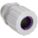 Primary Product Image