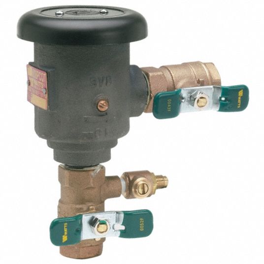 WATTS Anti-Siphon Backflow Preventer, Lead Free Brass ...