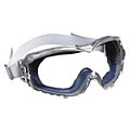 Reader, Magnifying Safety Goggles image