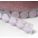 Primary Product Image