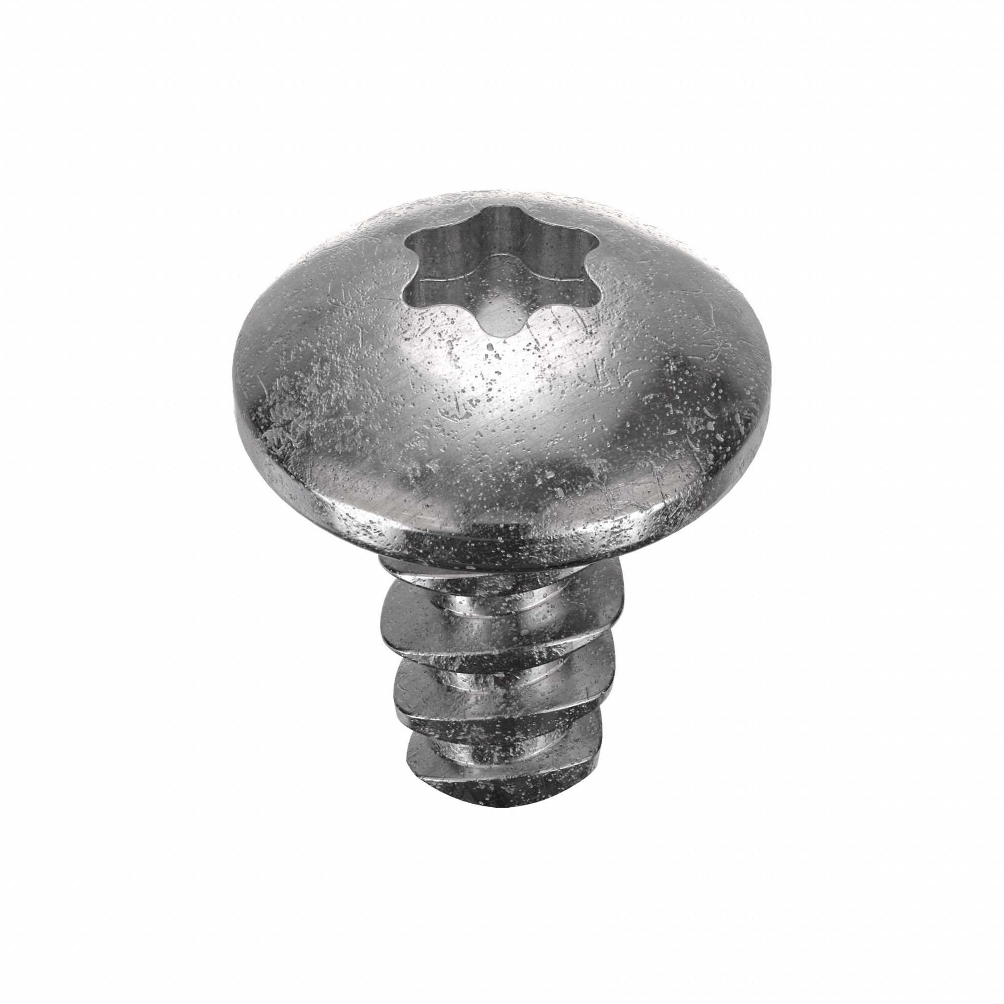 Thread Forming Screw: #6 Size, 1/4 in Lg, Stainless Steel, Plain, Torx Plus®, Pan, 50 PK