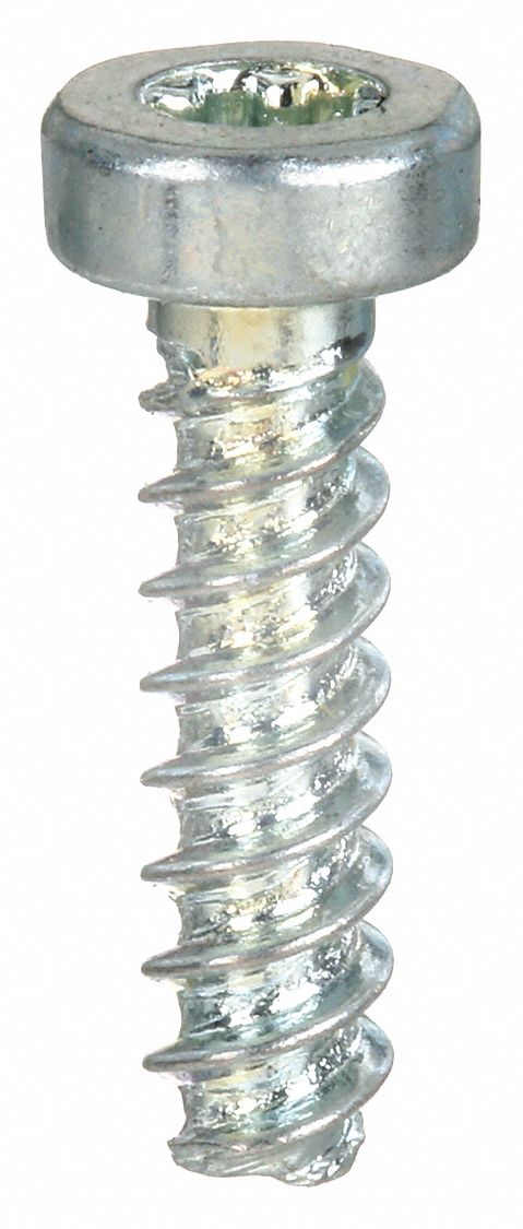 Sheet Metal Screw: #0 Size, 1/4 in Lg, Steel, Zinc-Plated, Torx Plus®, Pan, 50 PK