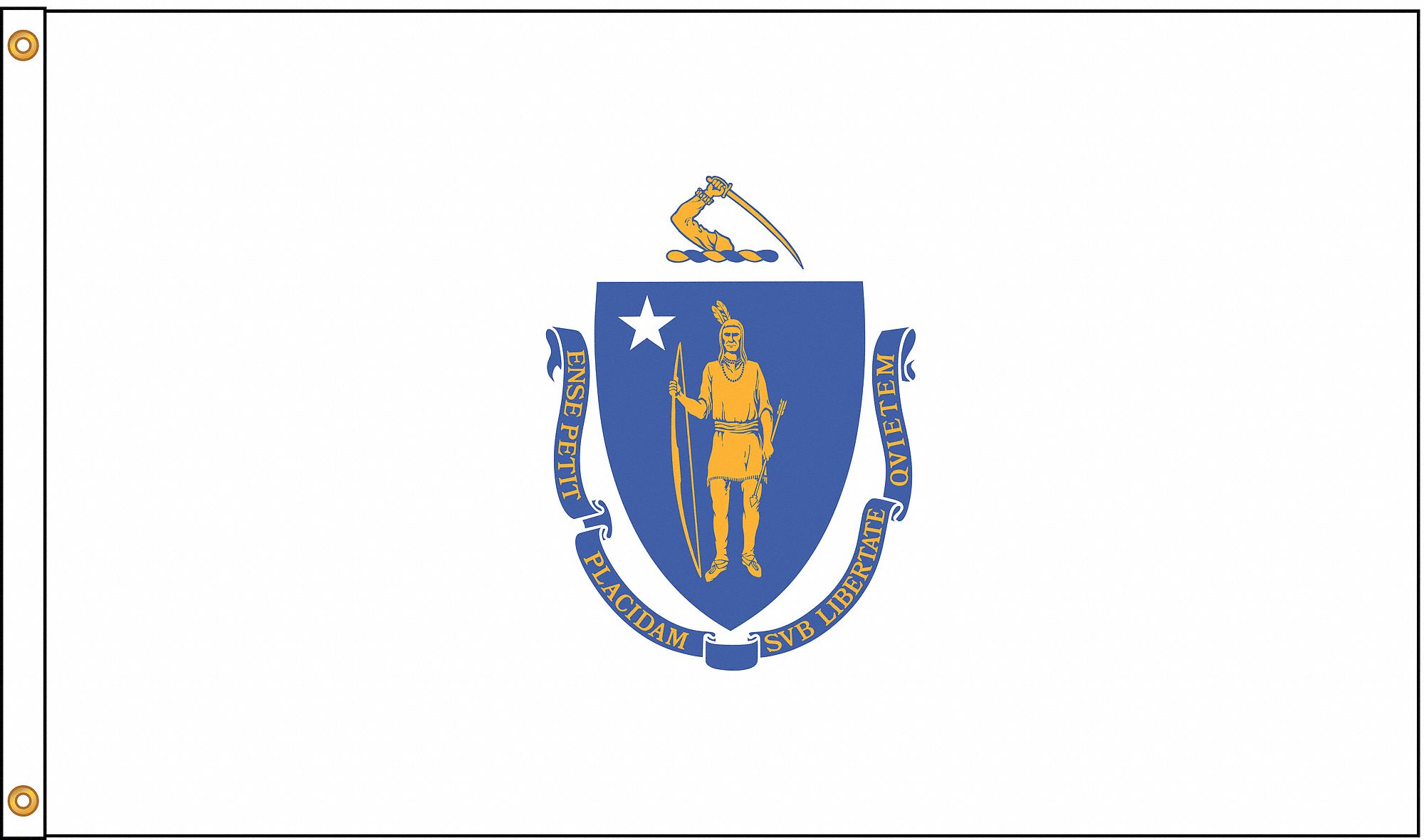 NYLGLO Massachusetts State Flag, 4 ftH x 6 ftW, Indoor, Outdoor 5JFJ7