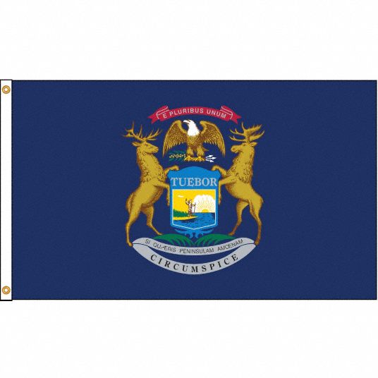 Nylglo 4 Ft Ht 6 Ft Wd State Flag 5jfj9142670 Grainger