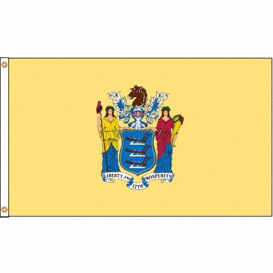 Nylglo 4 Ft Ht 6 Ft Wd State Flag 5jfl5143670 Grainger