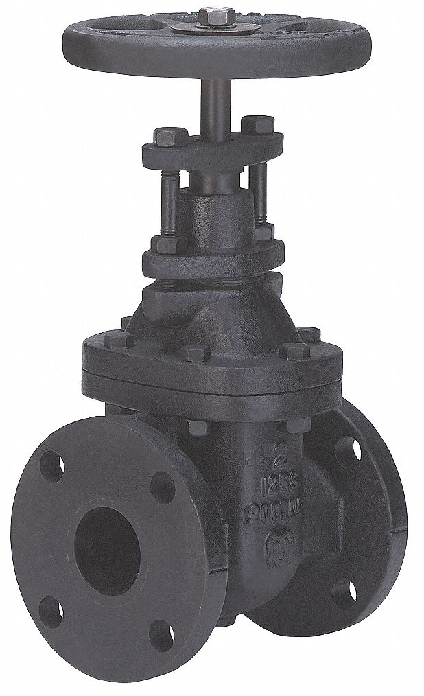 6 In. Class 125 Gate Valve Flange 