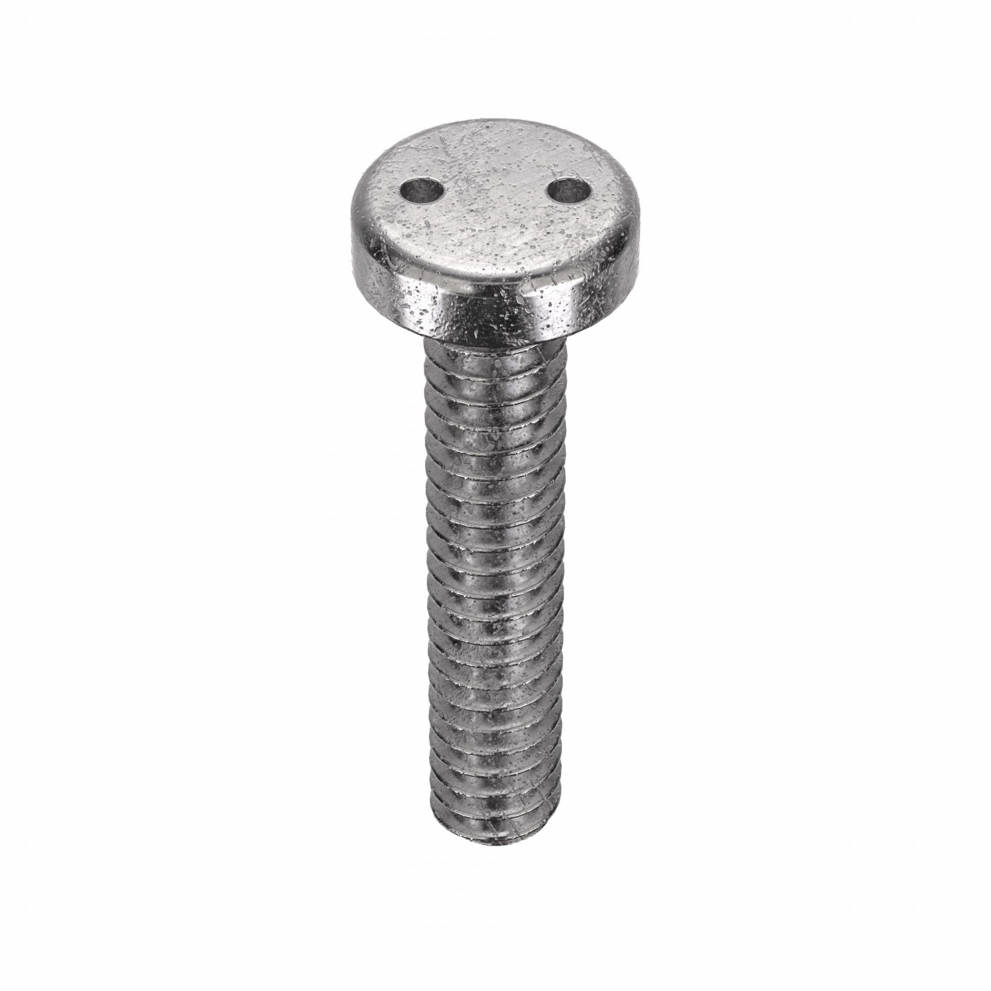 Tamper Resistant Screw: #10-24 Thread Size, 1 in Lg, Stainless Steel, Plain, Pan, Spanner, 25 PK