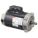 MOTOR 1/2HP JET PUMP WO/BASE