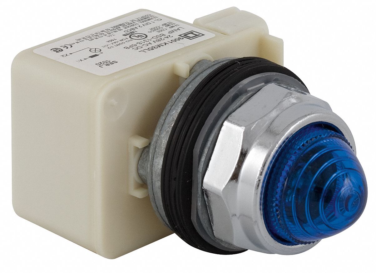 SCHNEIDER ELECTRIC Pilot Light Complete, 30 mm, 120V AC Voltage, Lamp