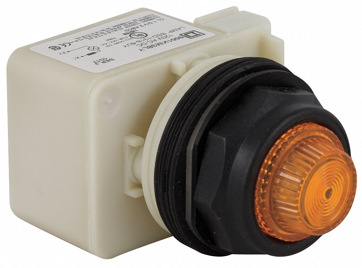 SCHNEIDER ELECTRIC Pilot Light Complete, 30 mm, 120V AC Voltage, Lamp Type LED, Terminal