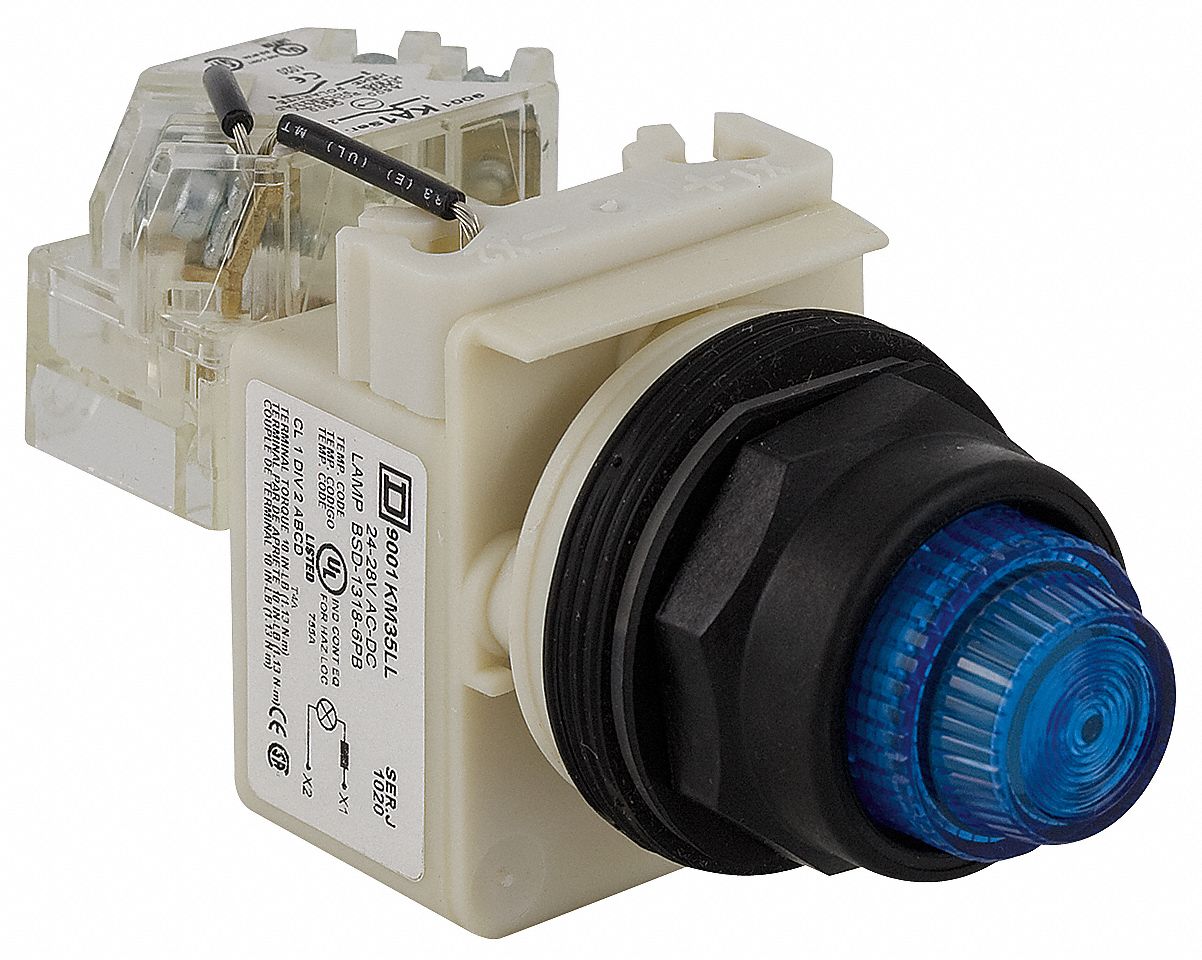 Pilot Light: 30 mm Panel Mounting Size, Blue, LED, 9001SK Series