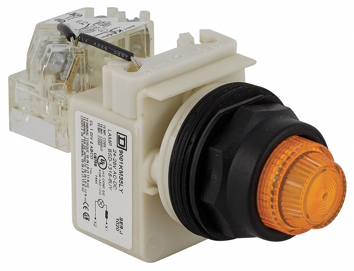 Pilot Light: 30 mm Panel Mounting Size, Amber, LED, 9001SK Series