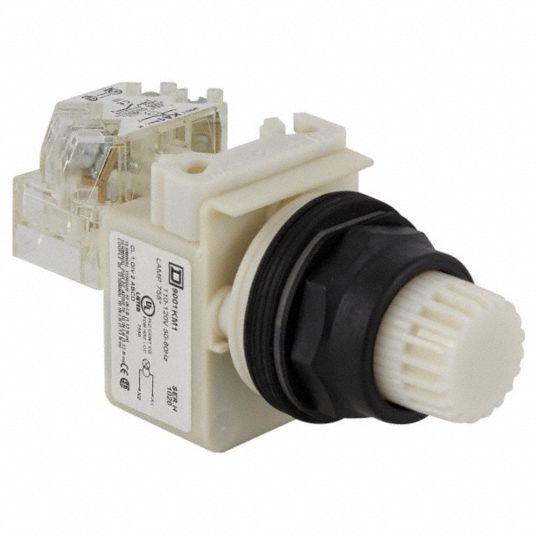 SCHNEIDER ELECTRIC, Illuminated Push Button, Momentary, Illuminated