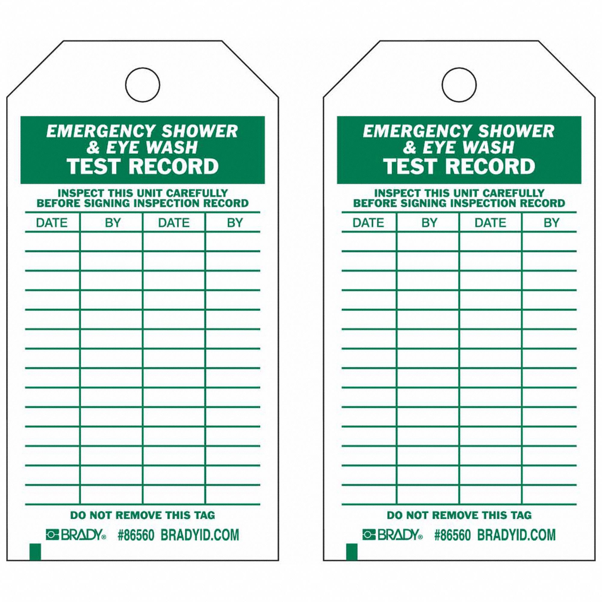 Tag Green/White 5-3/4inH 3inW PK10