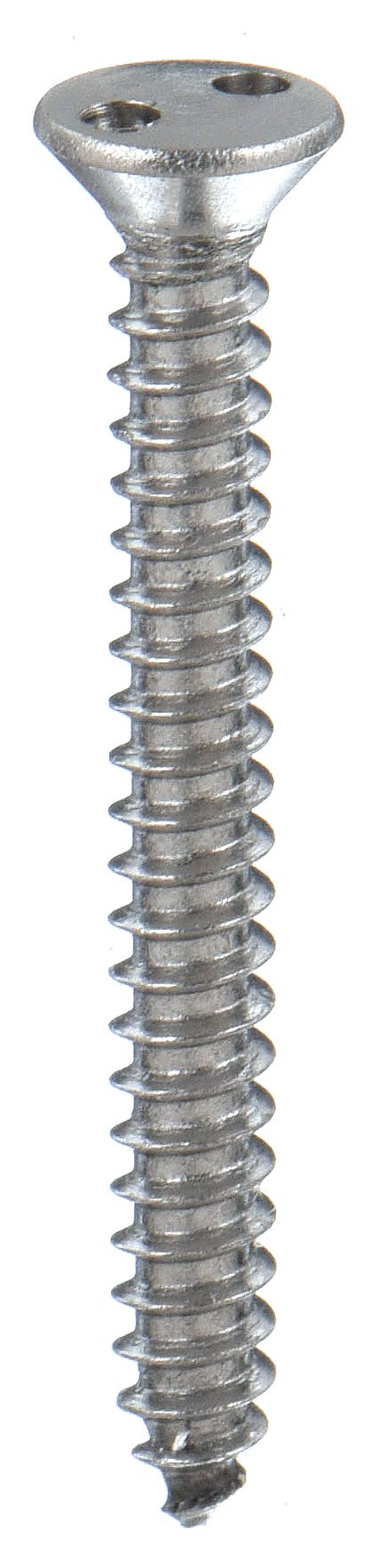 #8 Size, 1 in Lg, Tamper Resistant Screw - 5KY16|122180 - Grainger