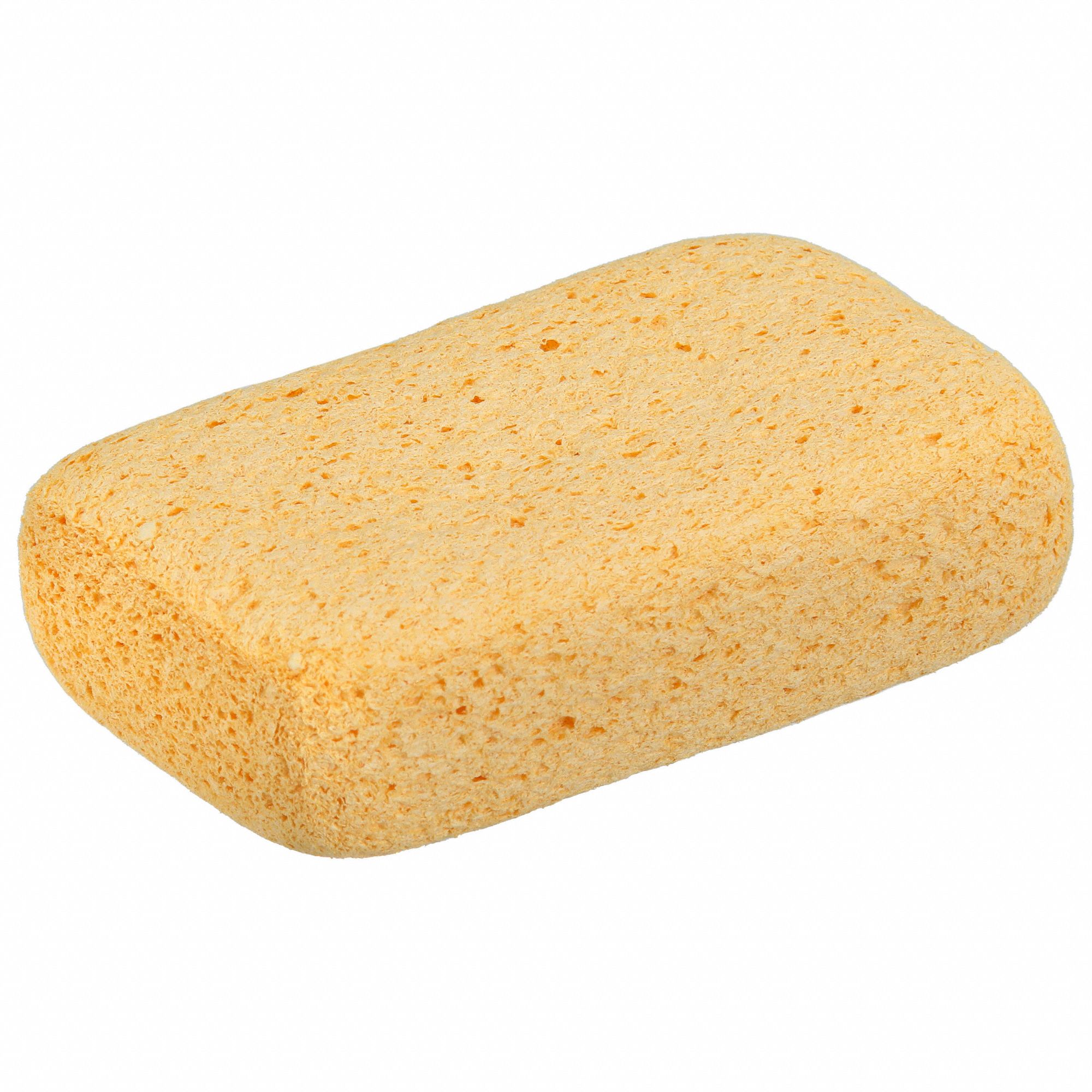 SPONGE,5 3/4 IN L,NATURAL