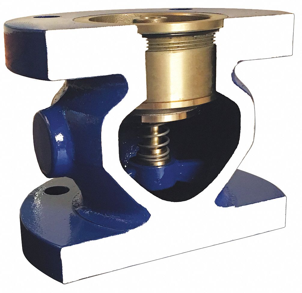 Silent Check Valve: Double Disc, Inline Valve Body, 2 1/2 in Pipe Size, Class 125 Flange