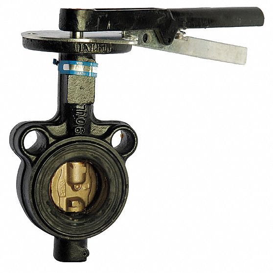 Butterfly Valve: 2 1/2 in Pipe Size, Concentric, 200 psi Max. Pressure (CWP), Wafer