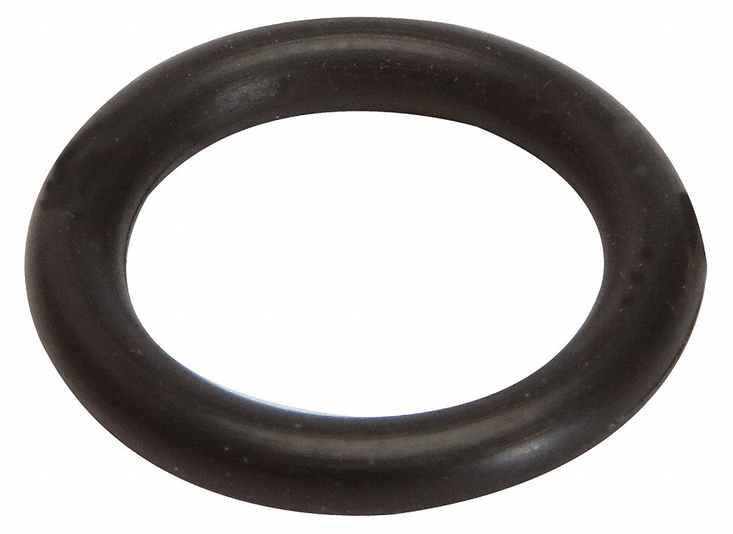 Pump Piston O-ring