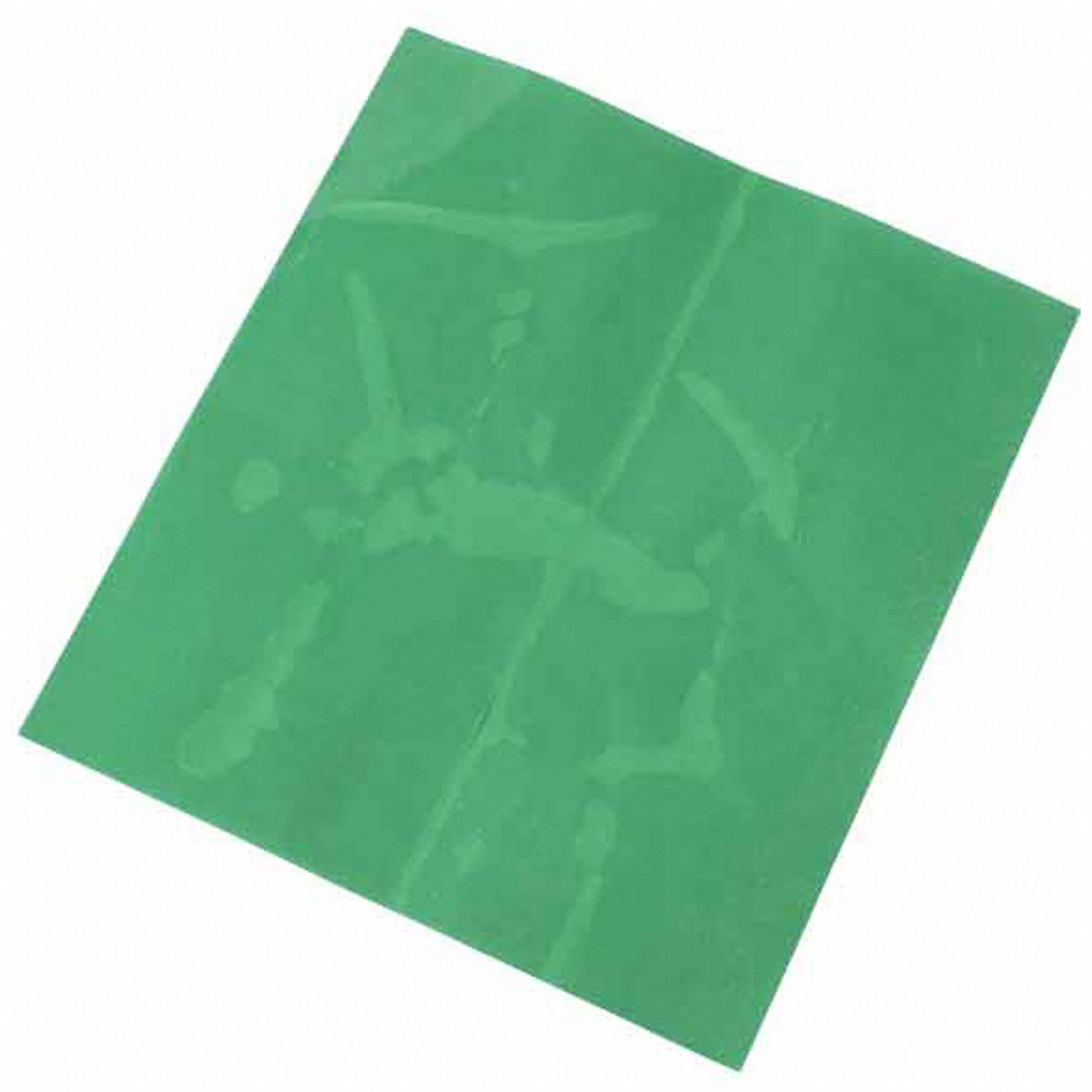 Label Green Polyester