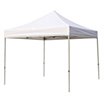 Instant Canopy image