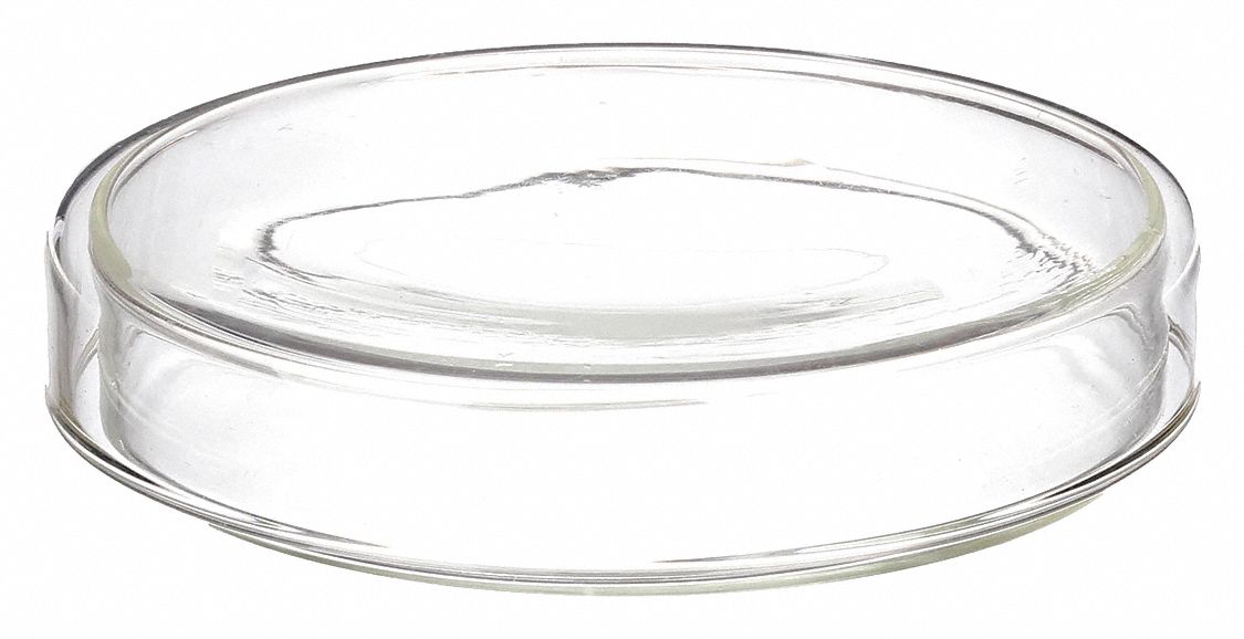 PETRI DISH WITH COVER,GLASS,100MM,P