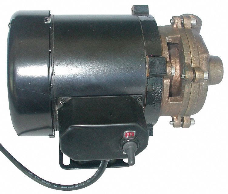 DAYTON Brass 1 8 HP iCentrifugali iPumpi 1 Phase 115 Voltage DAYTON Brass 1 8 HP iCentrifugali iPumpi 1 Phase 115 Voltage