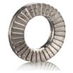 316 Stainless Steel Wedge Lock Washer image
