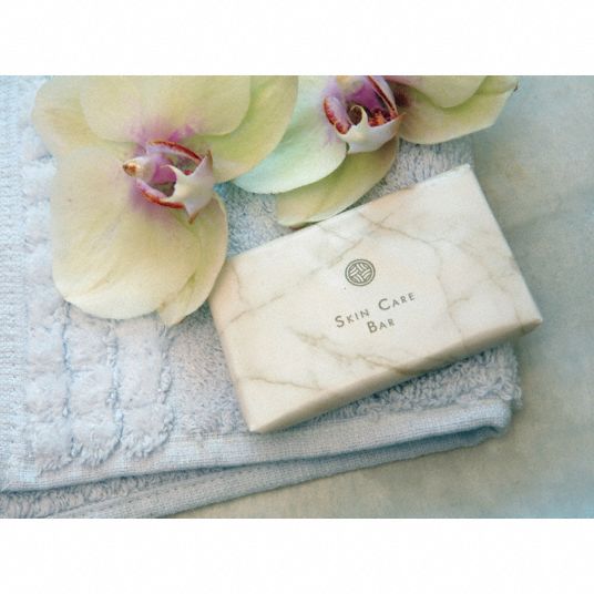 Dial Body Soap, Fresh Fragrance, 11/2 Wrapped Bar, 500 PK Grainger