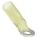 Primary Product Image