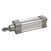 Speedaire 20mm Bore Dia Double End Mounted Air Cylinder with 100mm Stroke Stainless Steel 5TKV2