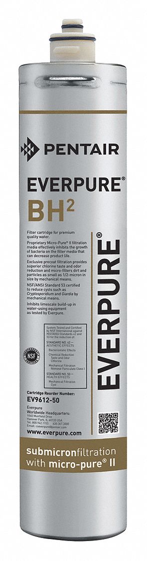 Everpure EV961251 Bh2 Filter Cartridge