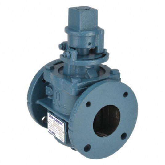 VALMATIC, 2Way, Cast Iron, Plug Valve 5WMD25603FN Grainger