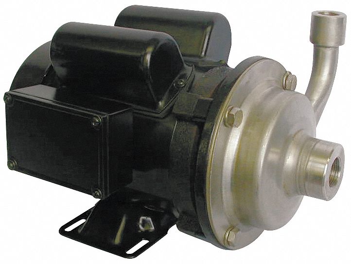 DAYTON, 316 Stainless Steel, 1/3 hp Horsepower (Max), Centrifugal Pump