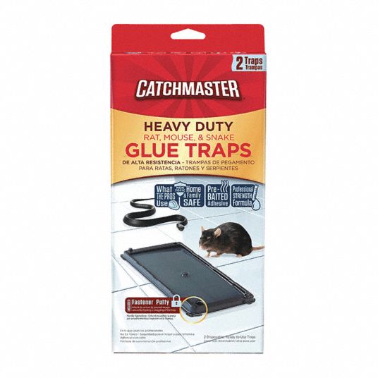 Bait Box Glue Trap for Crickets, Roaches, Spiders, 1EA Grainger
