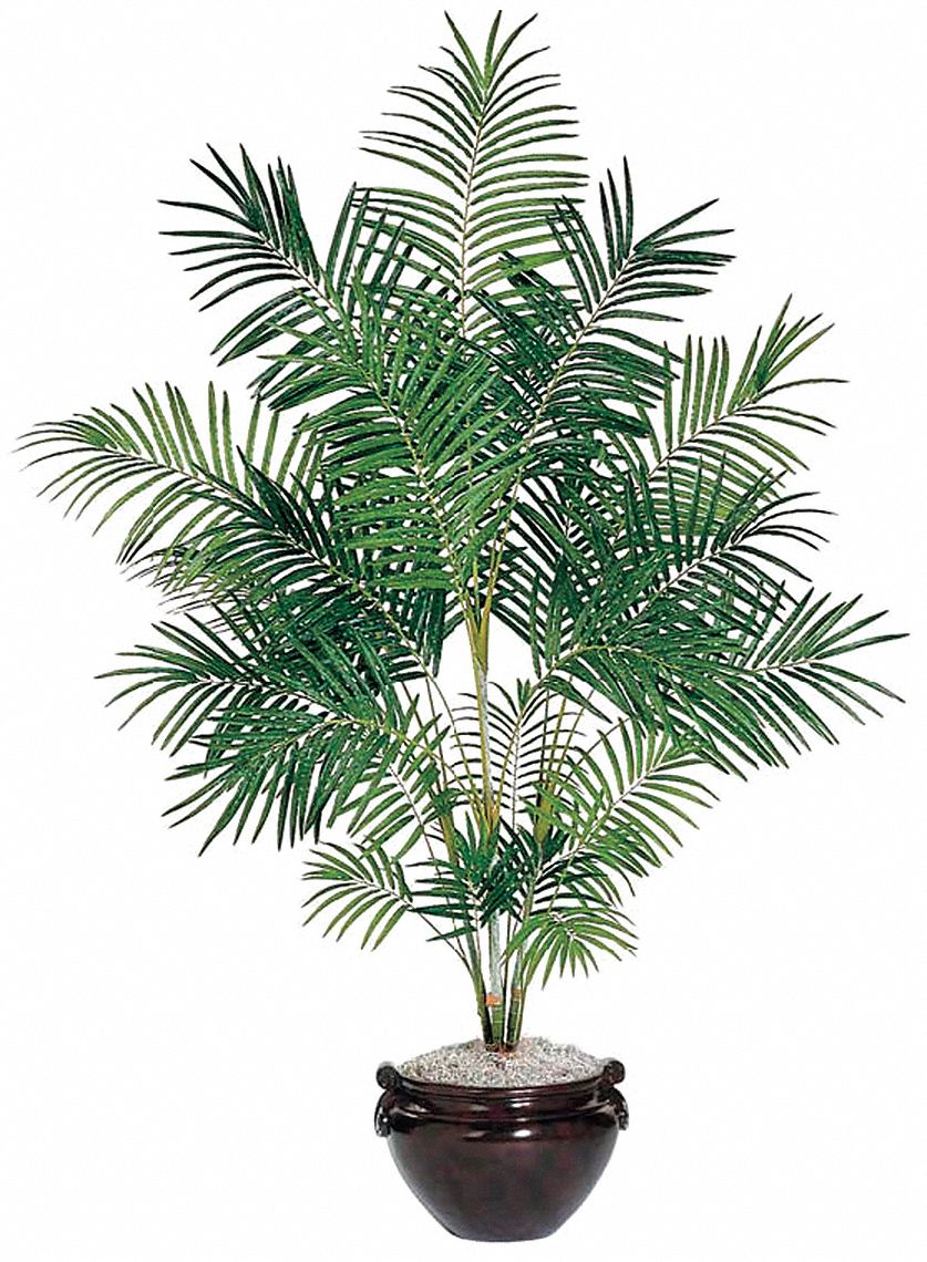 5YGC9 - Areca Palm Tree Silk 6 ft.