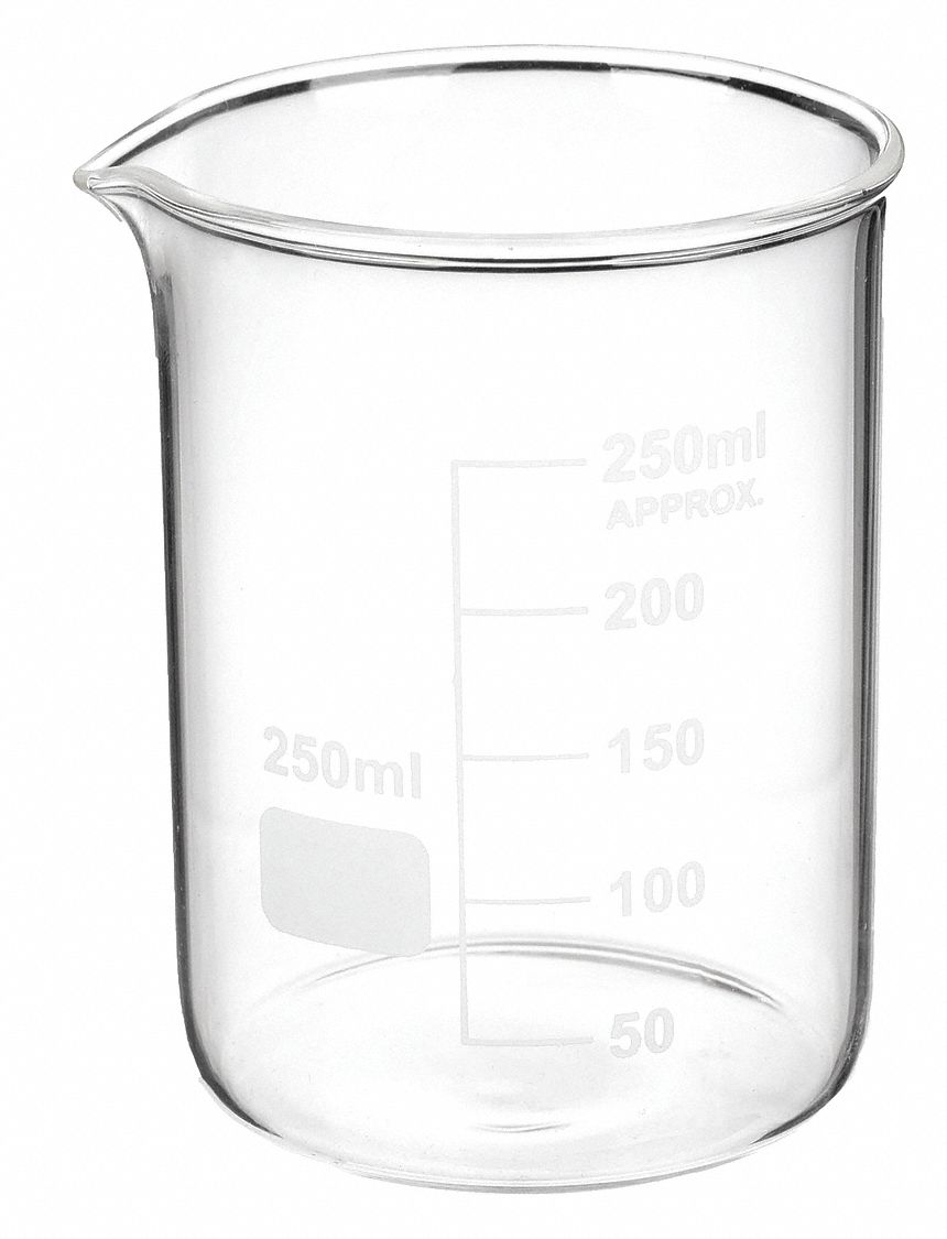 BEAKER,LOW FORM,GLASS,250ML,PK 12