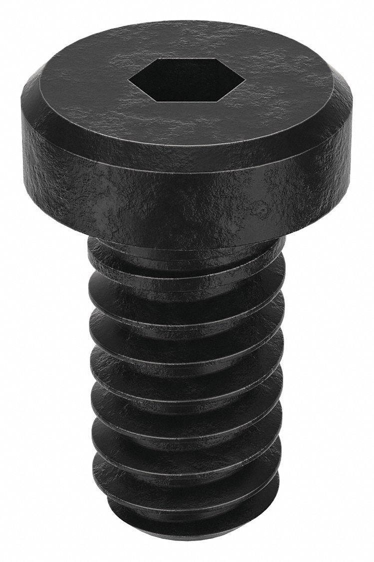 Socket Head Cap Screw: #10-24 Thread Size, 3/8 in Lg, Low-Profile Std, Black Oxide, 100 PK