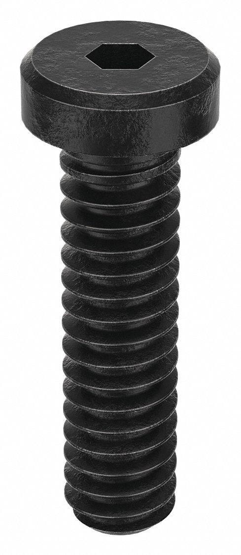 Socket Head Cap Screw: #10-24 Thread Size, 3/4 in Lg, Low-Profile Std, Black Oxide, 100 PK