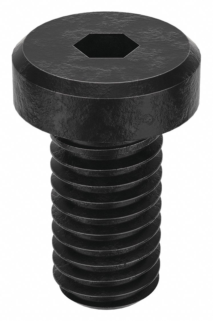 Socket Head Cap Screw: #10-32 Thread Size, 3/8 in Lg, Low-Profile Std, Black Oxide, 100 PK